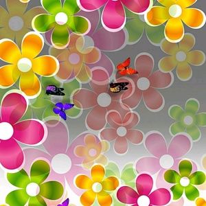 Meet your Posher, Anne